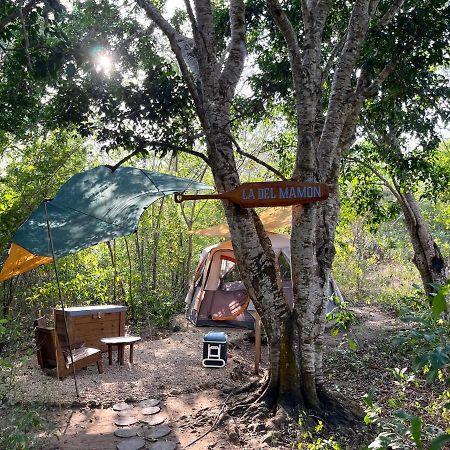 Cayuco Camping Baru 호텔 Santa Ana  외부 사진
