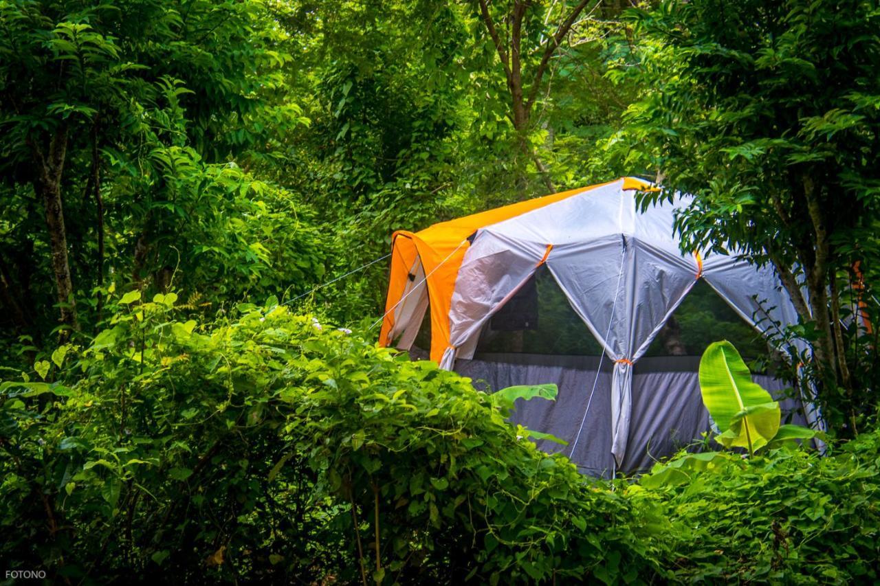 Cayuco Camping Baru 호텔 Santa Ana  외부 사진